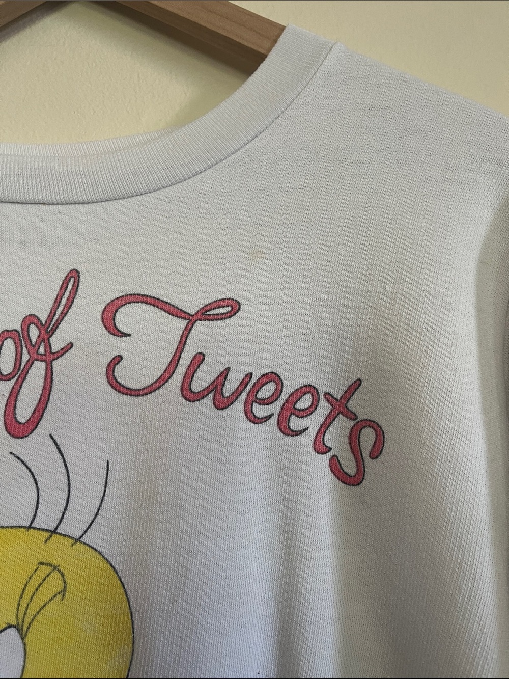 Warner Bros. Tweety 'A Box of Tweets' White Graphic Sweatshirt - Picture 11 of 11